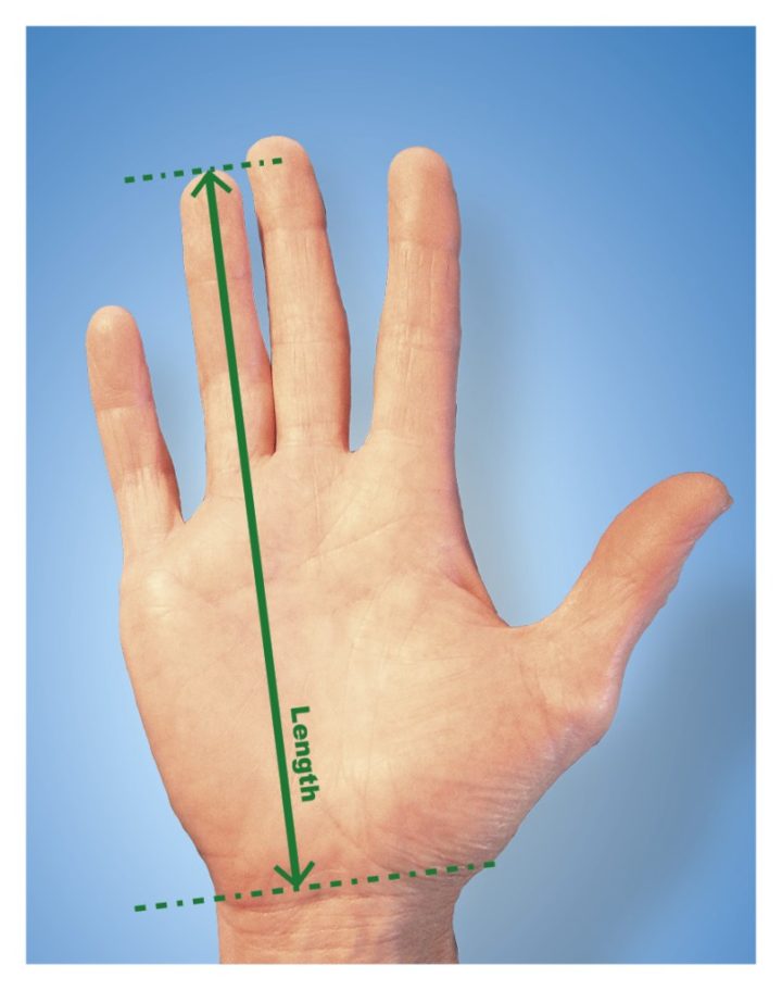 la mesure de main prise pour la souris ergonomique Handshoe