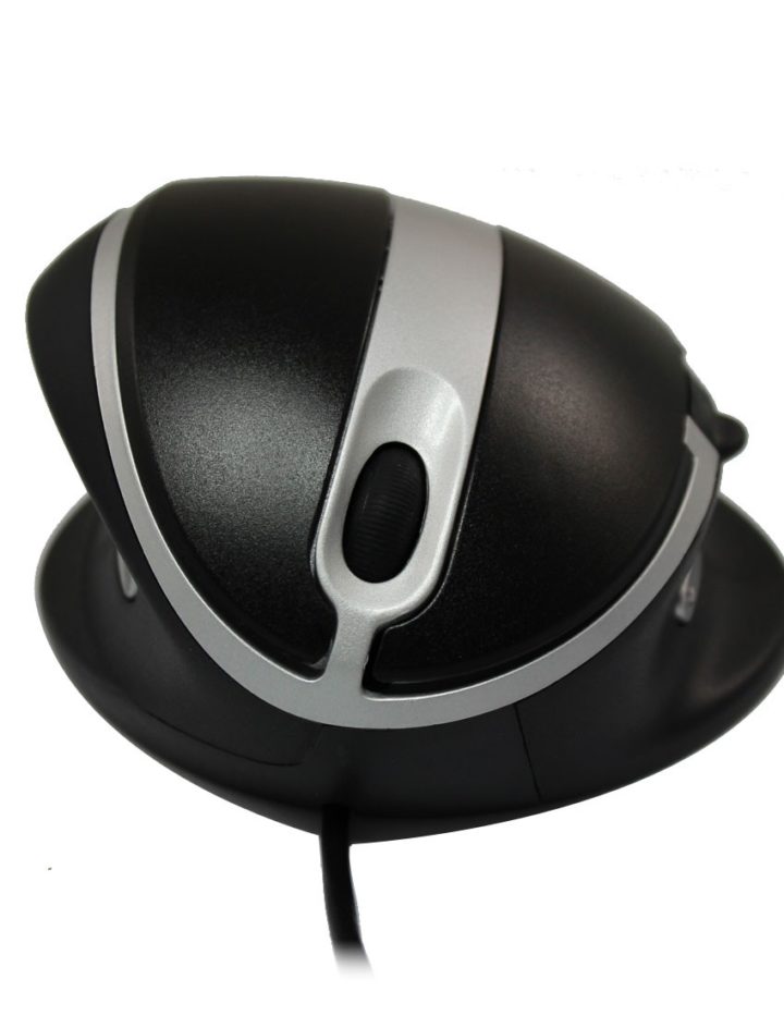 Souris Oyster