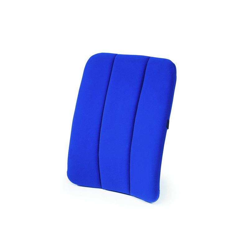 Coussin Sissel DORSABACK CAR