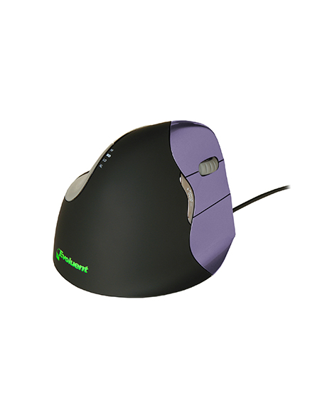 Souris Evoluent 4