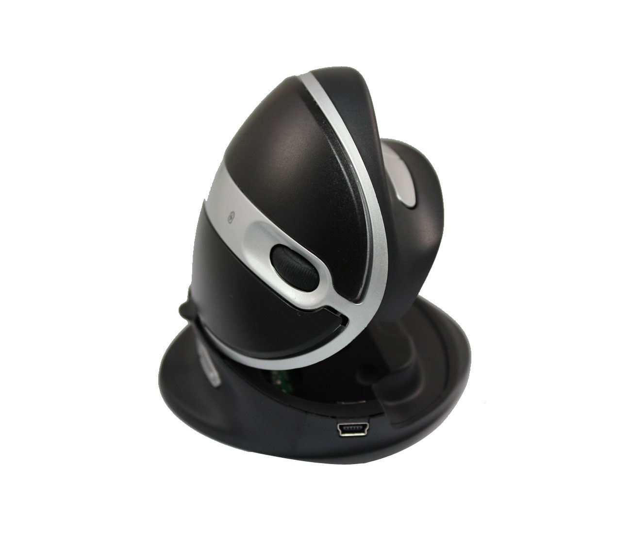 Souris Oyster