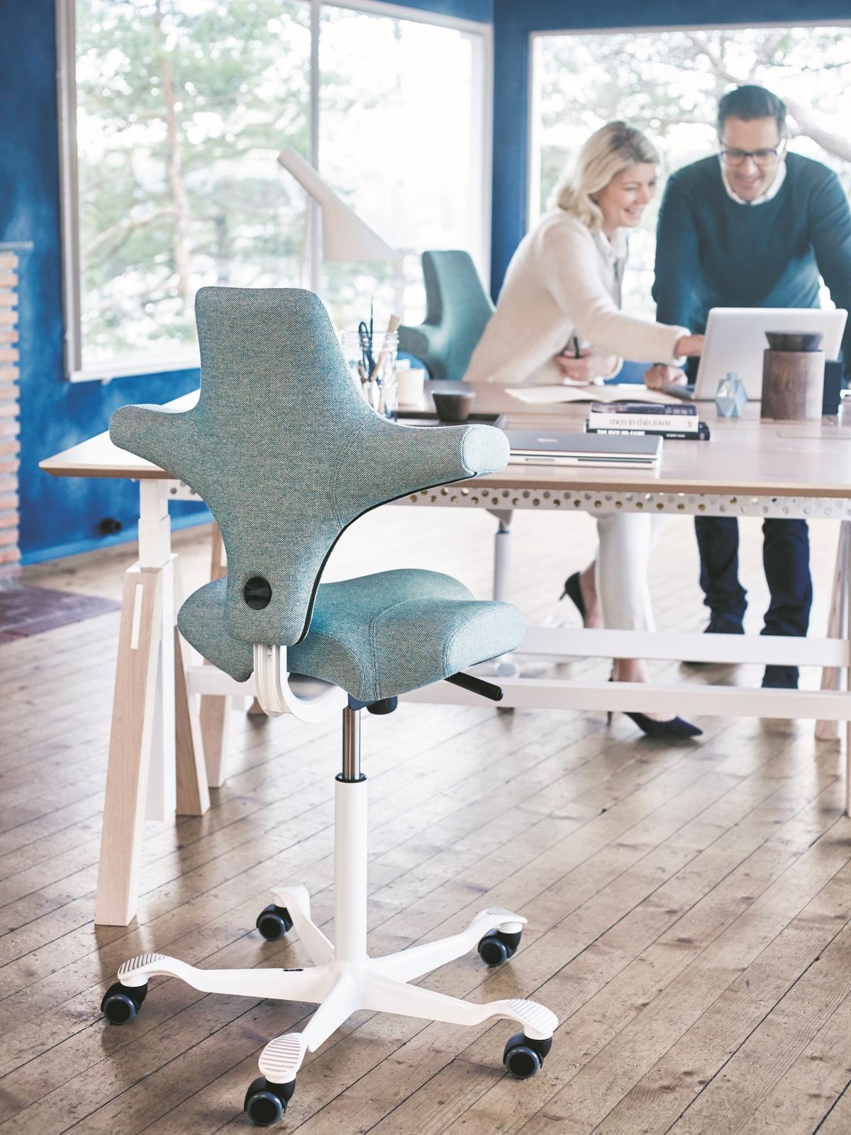 siege-bureau-ergonomique (2)